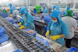 越南查鱼出口强劲增长