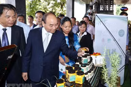 越南政府总理阮春福出席昆嵩玉玲人参与其他药材投资促进会（组图）