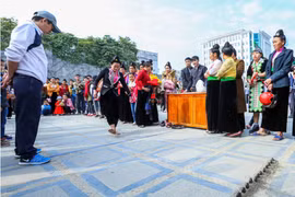 奠边省人民欢度2018年戊戌春节（组图）