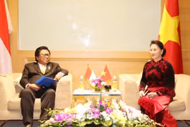 亚太议会论坛第26届年会：越南国会领导人会见国际客人（组图）