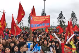 数万名越南球迷赴内排机场迎接越南足球队回国（组图）
