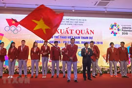2018年亚运会越南体育代表团出征仪式今晚举行（组图）