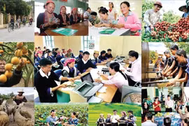 图表新闻：“为贫困者”高峰月：2016年至2022年阶段越南减贫成就