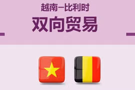 互动图表：越南-比利时双向贸易逐年增长