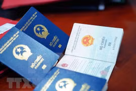 互动图表：55个国家和地区对越南公民实行免签