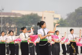 组图：奠边府大捷70周年：奠边省民间舞和街舞正式公演