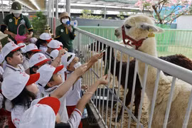 组图：来宁顺省观赏珍贵鸟类和动物