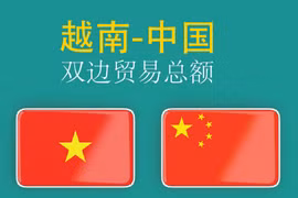 图表新闻：越中贸易关系取得令人瞩目成就