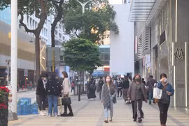 越南与中国香港迎来贸易投资合作新浪潮