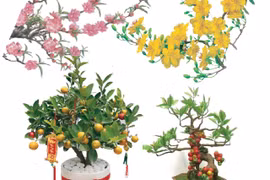 图表新闻：传统春节的代表性花木盆栽