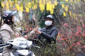 组图：联大通过决议将农历新年列为联合国假日