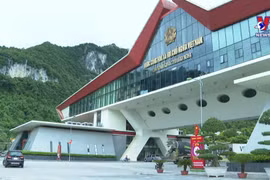 通过电子签证出入境政策为公民带来便利