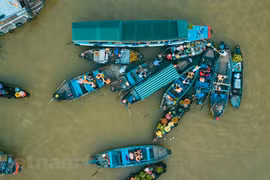 组图：芹苴市充满吸引力的旅游目的地--丐冷水上集市