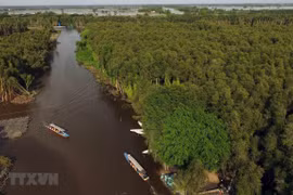 隆安省新立水上浮村——具有吸引力的旅游目的地