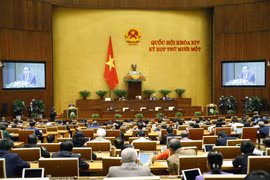 越南祖国阵线中央委员会主席陈青敏作有关选民及人民提交第十四届国会第十一次会议的意见建议汇总梳理报告。图自越通社