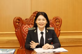 越南在东盟最高审计机构中的地位不断提升