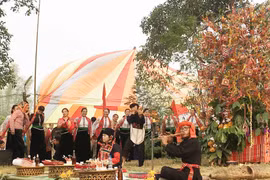 山萝省傣族的感恩节（组图）