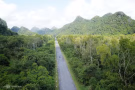 体验吉婆岛原始森林10公里徒步路线