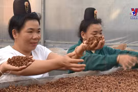 为越南少数民族妇女共同发声 促进平等