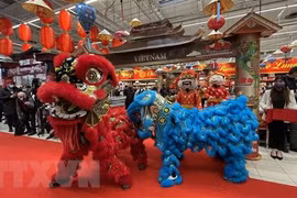法国家乐福连锁超市首次举行越南春节周活动
