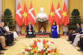 越南国家副主席武氏映春会见丹麦王储弗雷德里克