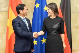 进一步深化越德两国战略伙伴关系内涵 
