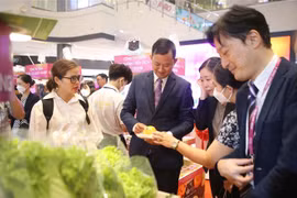 大力推动越南商品上架永旺超市系统