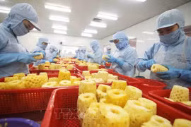 2023年越南农业产品将有巨大增长机会