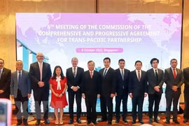 越南出席CPTPP委员会第六次会议