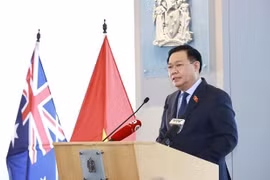 越南国会主席王廷惠出席越澳教育合作论坛