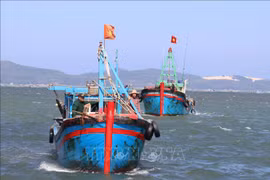 解除IUU“黄牌”警告：富安省切实做好教育宣传工作 现无违法违规渔船