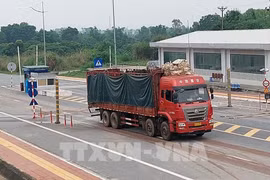 广宁省芒街国际口岸自重启以来货物吞吐量累计超过45300吨