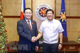 越南国会主席王廷惠会见菲律宾总统费迪南德·罗穆亚尔德斯·马科斯