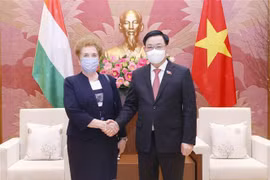 王廷惠和武文赏分别会见匈牙利国会常务副主席玛特劳伊 