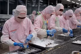 越南货物进出口总额突破7000亿美元的大关