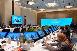 越南呼吁APEC加强交流并协助推广开放国际旅游市场的政策