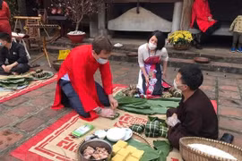 多国驻越大使和和国际组织代表体验传统春节活动在河内市举行