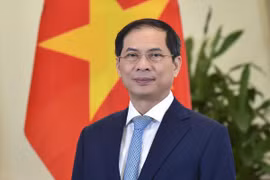 越南外交部长裴青山：越南将继续为联合国维和行动做出积极贡献