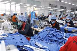 越南实现商品进出口目标