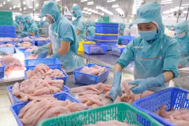 越南开拓对RCEP的水产品出口市场