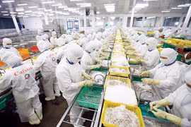 发挥水产品出口成果