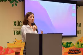 经济外交：让更多越南水果走进泰国市场