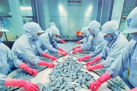 把挑战化为促进出口的机会
