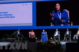 越南代表出席第五届全球消除童工会议 强调教育对消除童工的重要性