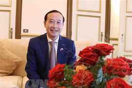 越老新春友好交流活动在布鲁塞尔举行