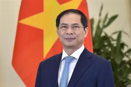 越南外交部长裴青山：与国际社会携手共建和平世界