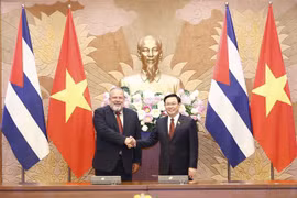 越南国会主席王廷惠会见古巴总理曼努埃尔·马雷罗