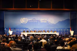  COP27：越南是履行国际承诺的积极且负责任国家