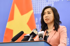 越南外交部发言人黎氏秋姮：越南要求中国在采取措施保护东海海域生物资源时尊重越南对黄沙群岛的主权