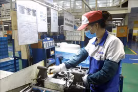 俄罗斯经济专家积极评价越南经济现状